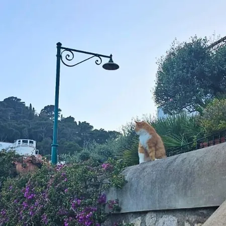 Prázdninový dům Casa Due Golfi Capri